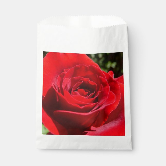 Helle Rote Rose Blume Schöne Blumenpracht Geschenktütchen (Vorderseite)