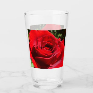 Helle Rote Rose Blume Schöne Blumenpracht Glas