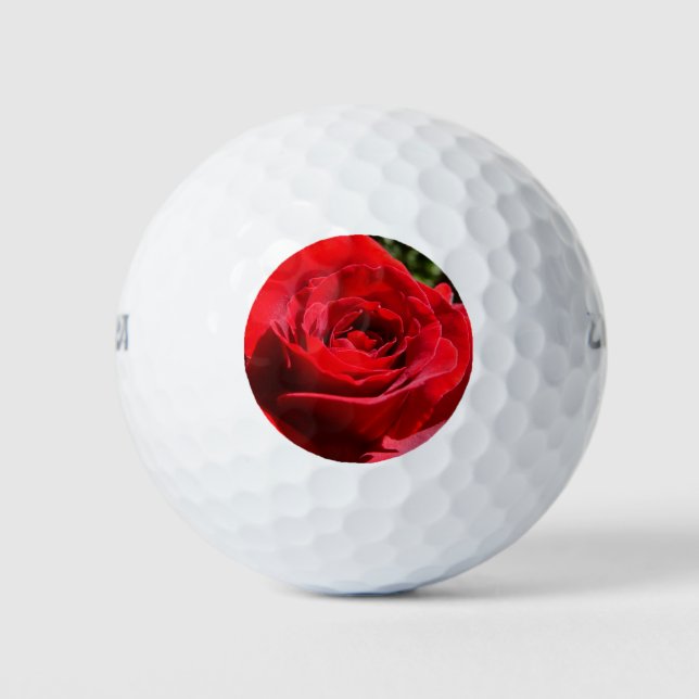 Helle Rote Rose Blume Schöne Blumenpracht Golfball (Vorderseite)
