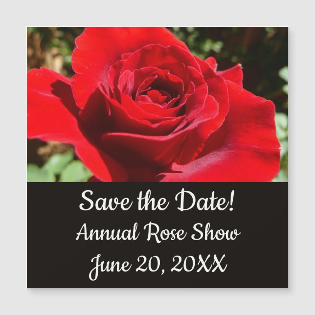 Helle Rote Rose Blume Schöne Blumenpracht Magnetkarte (Vorderseite)