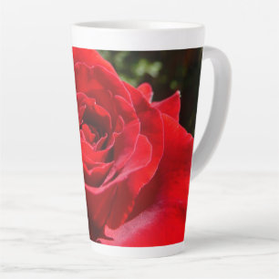 Helle Rote Rose Blume Schöne Blumenpracht Milchtasse