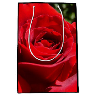 Helle Rote Rose Blume Schöne Blumenpracht Mittlere Geschenktüte