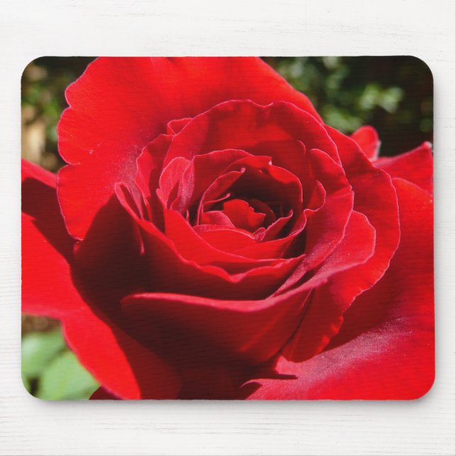 Helle Rote Rose Blume Schöne Blumenpracht Mousepad (Vorne)