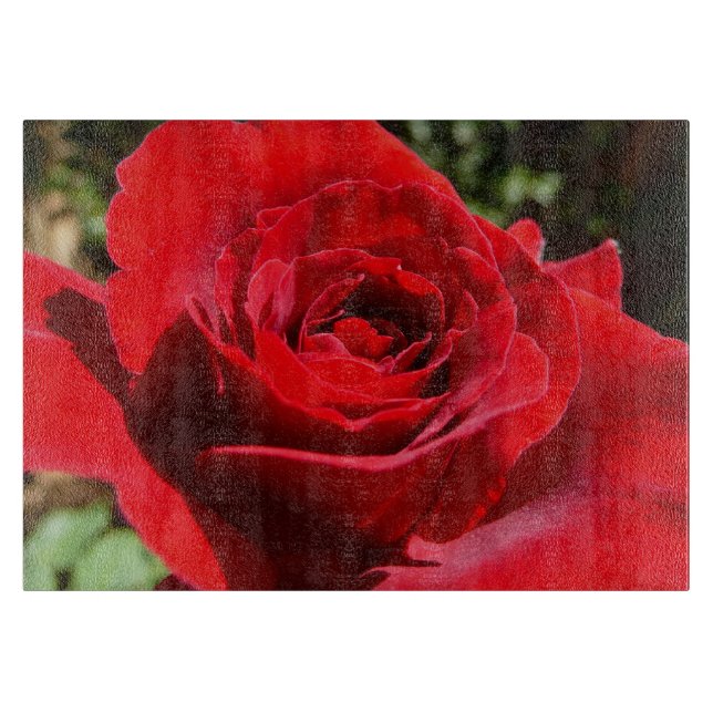 Helle Rote Rose Blume Schöne Blumenpracht Schneidebrett (Vorderseite)