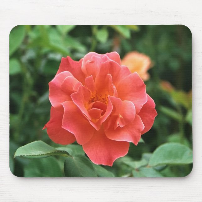 Helle Rote Rose.... Mousepad (Vorne)