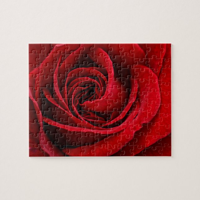 Helle rote Rose Nahaufnahme Puzzle (Horizontal)