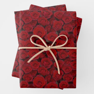 Helle Rote Rosen Geschenkpapier Set