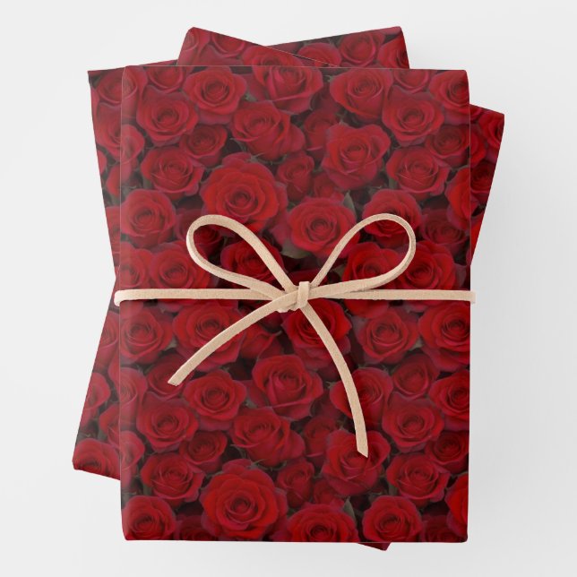 Helle Rote Rosen Geschenkpapier Set (Beispiel)