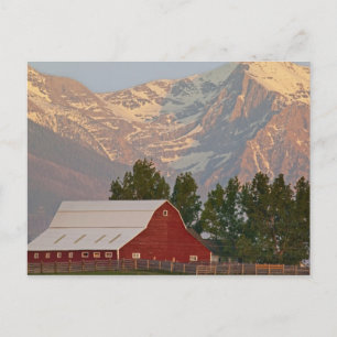 Helle rote Scheune vor den Mission Mountains in Postkarte