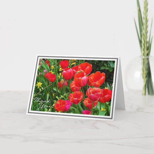 Helle rote Tulips gegen grüne Blätter Karte (Vorderseite)