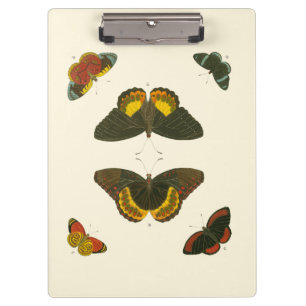 Helle Schmetterlinge durch Pieter Cramer Klemmbrett