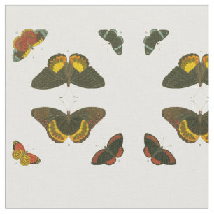 Helle Schmetterlinge durch Pieter Cramer Stoff