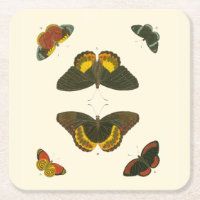 Helle Schmetterlinge von Pieter Cramer