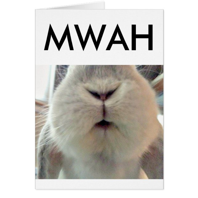 Helle Smooches (Vorne)