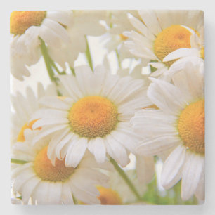 Helle Sommergänseblümchen Blumen Steinuntersetzer