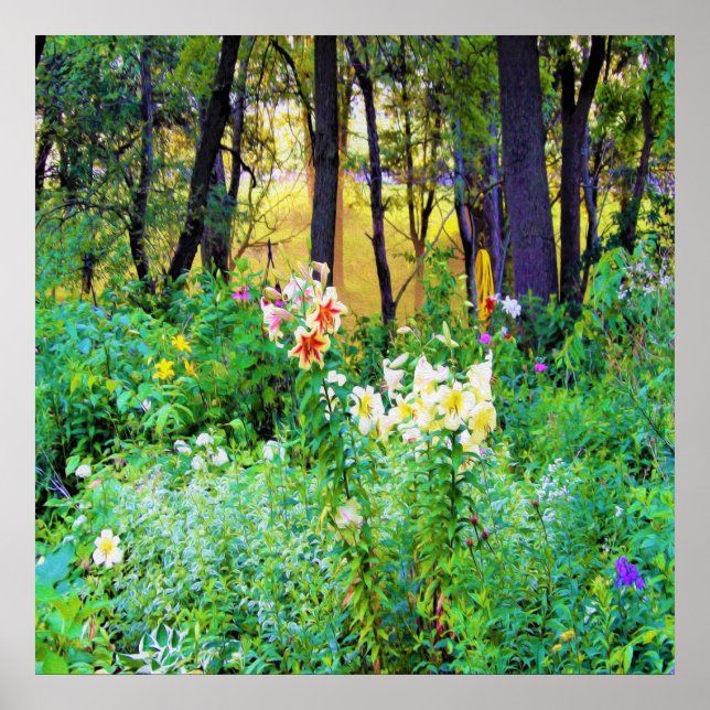 Helle Sonnenaufgänge mit Tree Lilis in meinem Rubi Poster (Vorne)