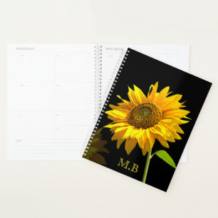 Helle Sonnenblume im schwarzen Hintergrund Planer