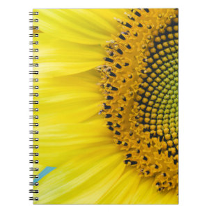 Helle Sonnenblume Notizblock