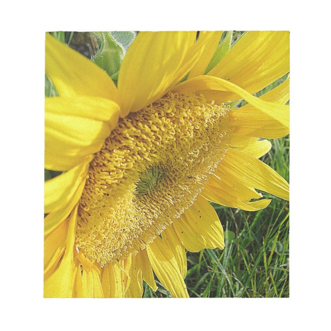 Helle Sonnenblume Notizblock (Vorderseite)