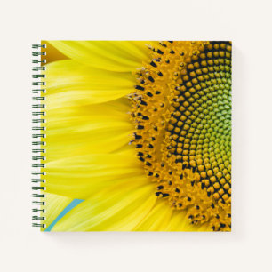 Helle Sonnenblume Notizbuch
