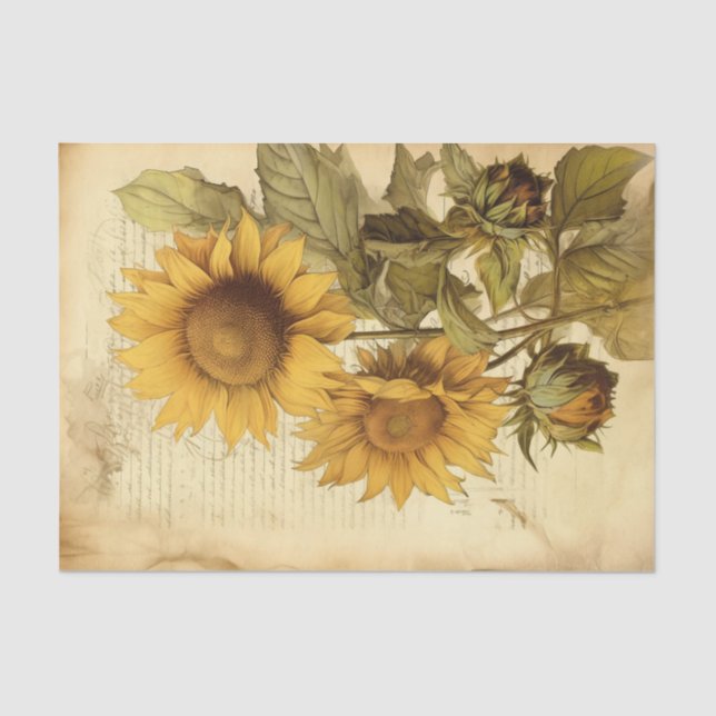 Helle Sonnenblumen auf Vintagem Script Seidenpapier (Vorderseite)