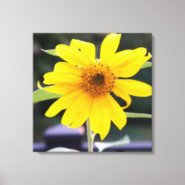 Helle Sonnengelbe Sonnenblume Nah-up 24" x 24" Leinwanddruck