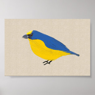 Helle Tropical Bird Euphonia auf Linen Leinwand Poster
