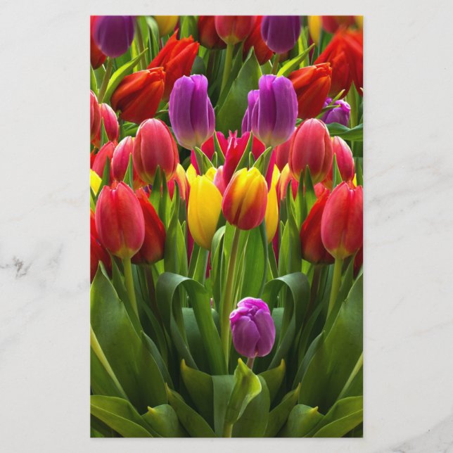 Helle Tulips Briefpapier (Vorderseite)