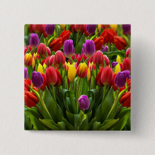 Helle Tulips Button