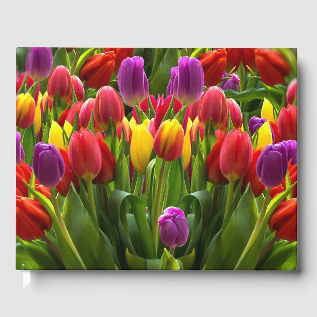 Helle Tulips Gästebuch (Vorderseite)