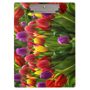 Helle Tulips Klemmbrett