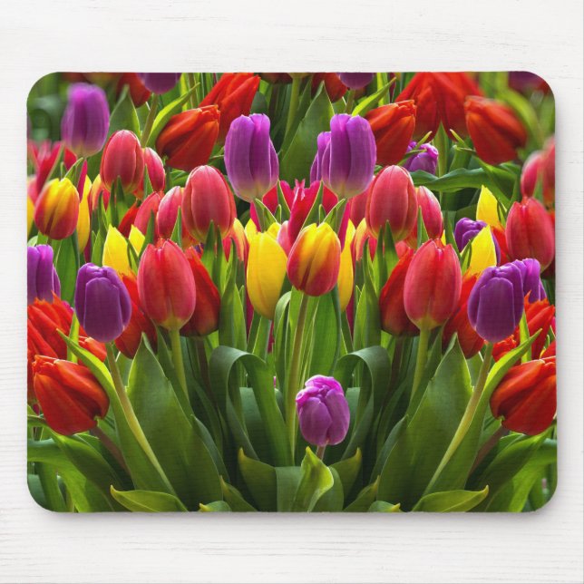 Helle Tulips Mousepad (Vorne)