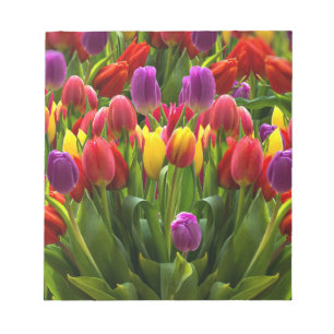 Helle Tulips Notizblock