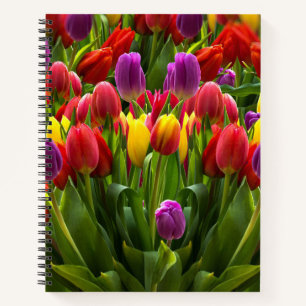 Helle Tulips Notizbuch