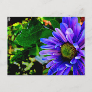 Helle violette Blume Postkarte