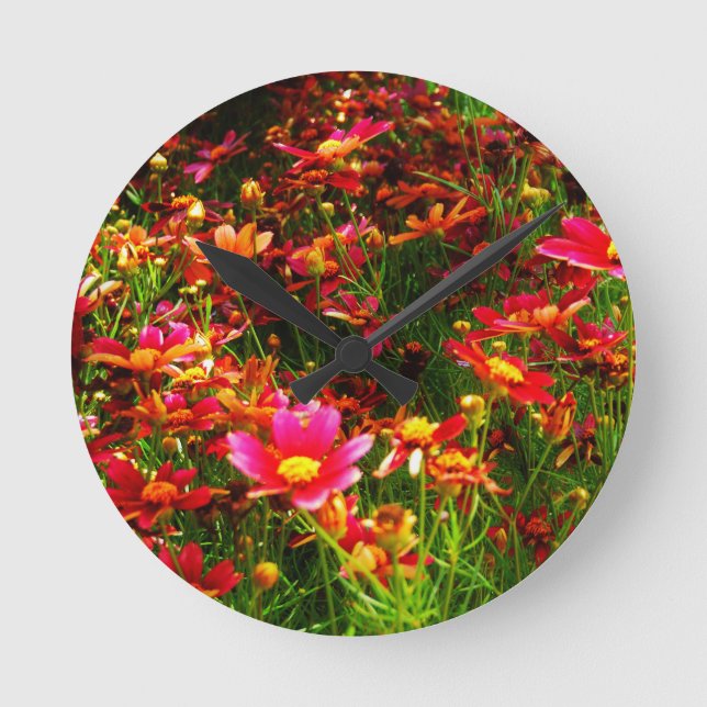 Helle wilde Blumen des rosa und gelben Gänseblümch Runde Wanduhr (Vorderseite)