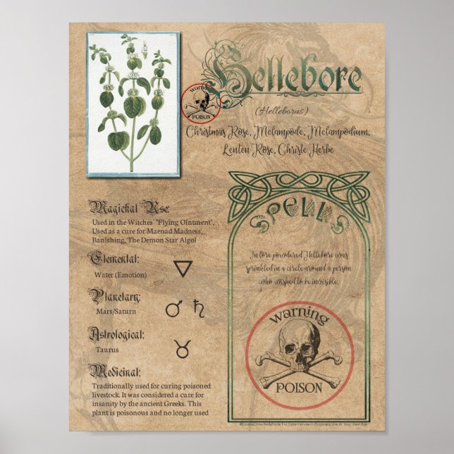 Hellebore Herbal Buch Schatten Pagan Wiccan Poster (Vorne)