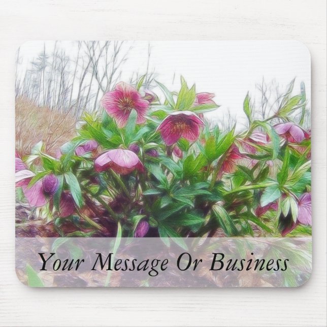 Hellebore Pflanze im Garten Mousepad (Vorne)
