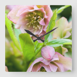 Hellebore Quadratische Wanduhr