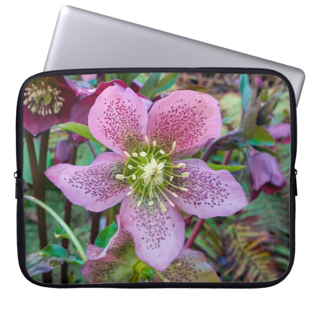 Hellebore Winter Rosen Laptop Sleeve (Vorderseite)