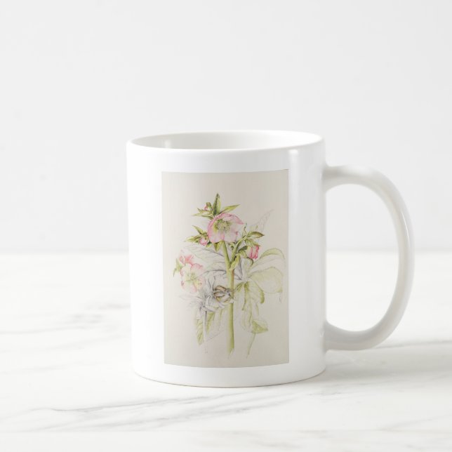 Hellebores Tasse (Rechts)