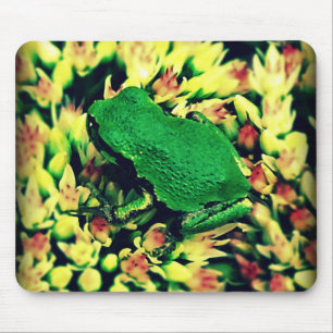 Heller Grüner Frosch Mousepad