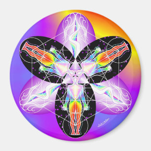 Heller Körper Magnet