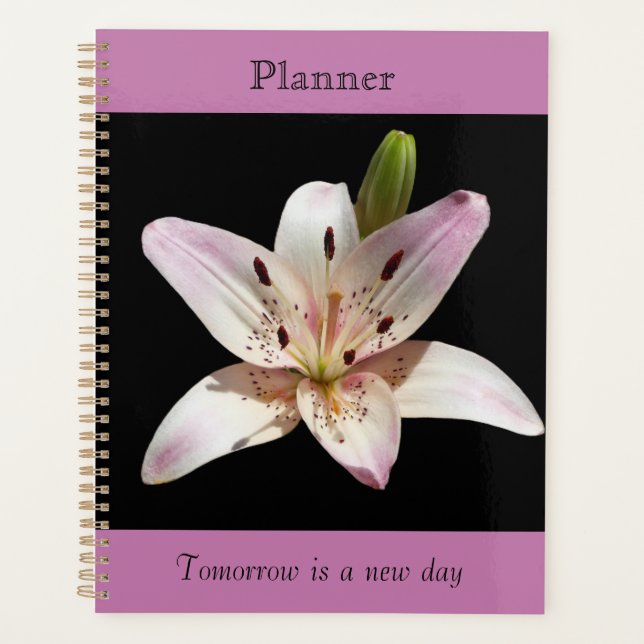 Heller Lily Planer (Vorderseite)