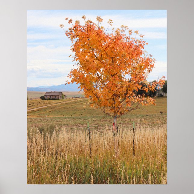 Heller Oktober  Poster (Vorne)