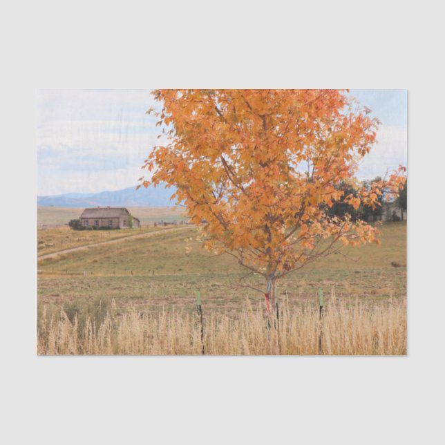 Heller Oktober  Seidenpapier (Vorderseite)