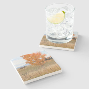 Heller Oktober  Steinuntersetzer