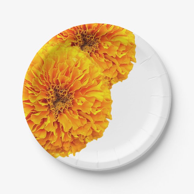 Heller orange Goldringelblumen-Papier-Party-Teller Pappteller (Vorderseite)
