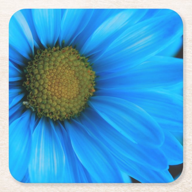 Helles blaues Gänseblümchen Rechteckiger Pappuntersetzer (Vorderseite)