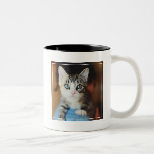 Helles blaues mit Augen Kätzchen Zweifarbige Tasse